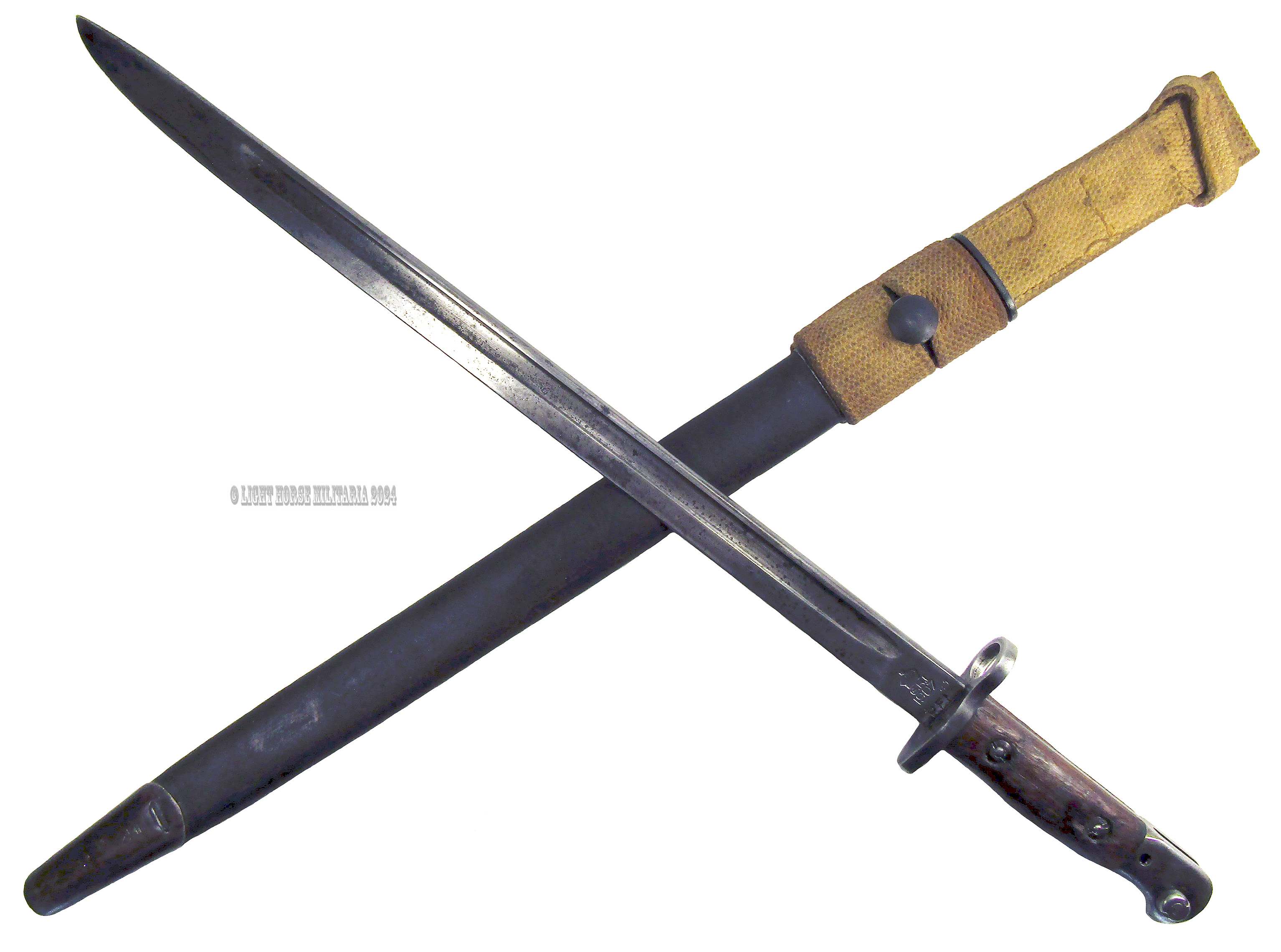 BayoIndian1907rareLongScabFrogOct24psd2638