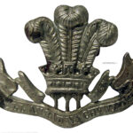 welshplumecollarbadgepsd4500